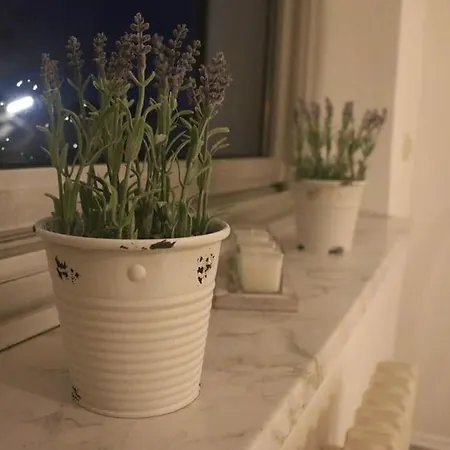 Schoene 2,5 Raum Naehe Veltinsarena