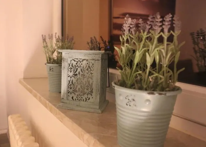 Schoene 2,5 Raum Naehe Veltinsarena *