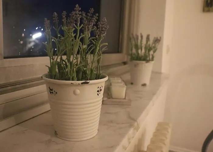 Schoene 2,5 Raum Naehe Veltinsarena